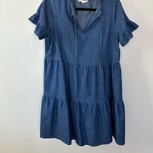 Blue Denim Ruffle Sleeve Dress